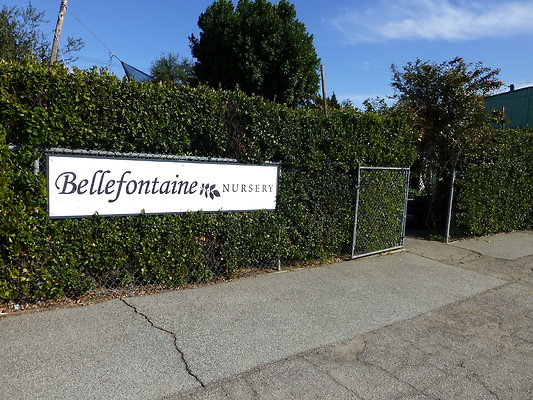 Bellefontaine.Nursery.02