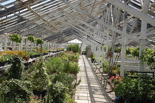 DSC 0183 hero DSC 0183 hero