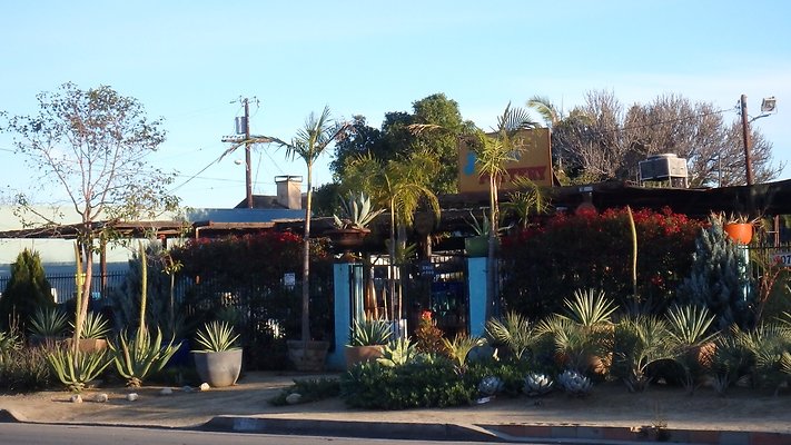Jackalope Pottery NoHo - 23