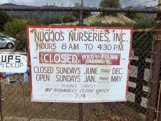 Nuccios.Nursery.AD.57