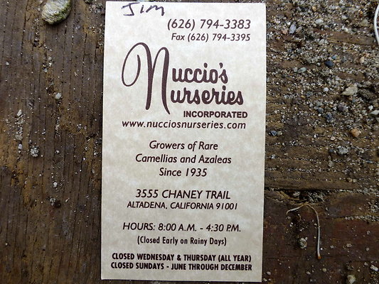 Nuccios.Nursery.AD.61