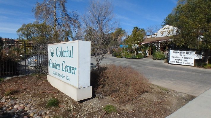 Colorful Design ctr Agoura - 2
