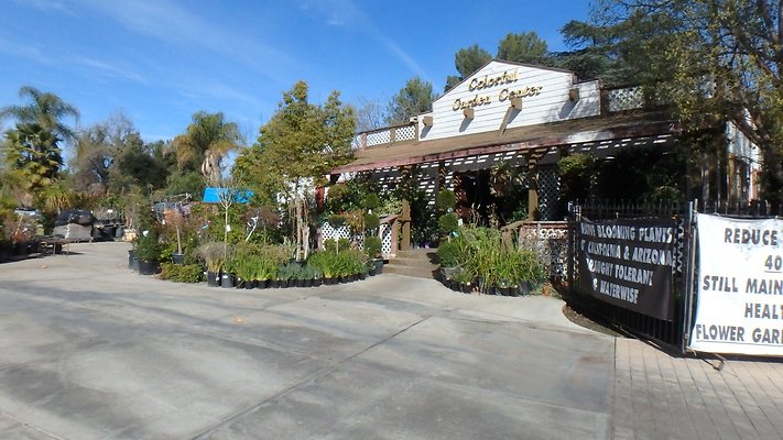 Colorful Design ctr Agoura - 5
