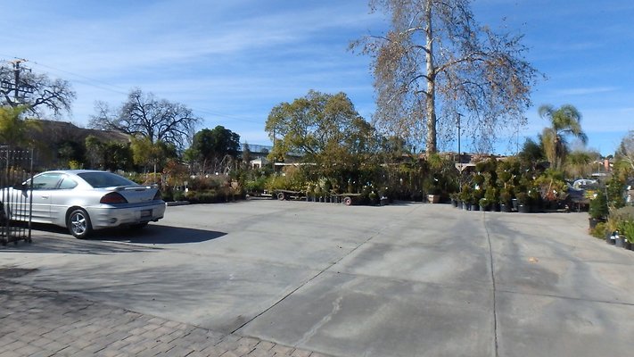 Colorful Design ctr Agoura - 10