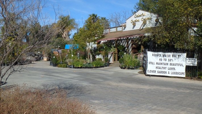 Colorful Design ctr Agoura - 3
