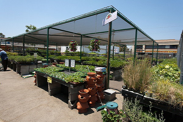 GREEN ARROW NURSERY 061312014