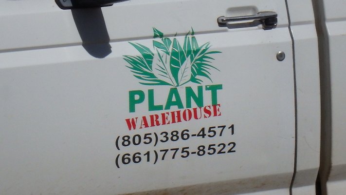 Plant warehouse Somis - 30