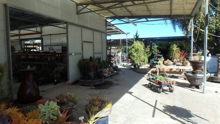 Plant warehouse Somis - 12