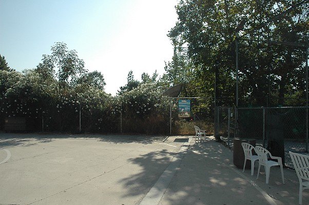 DSC 0450