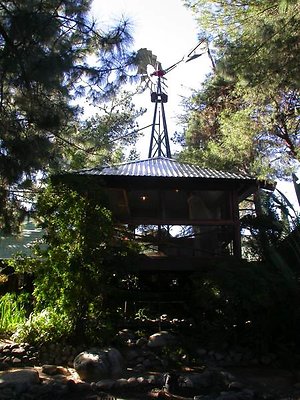 2824 treehouse