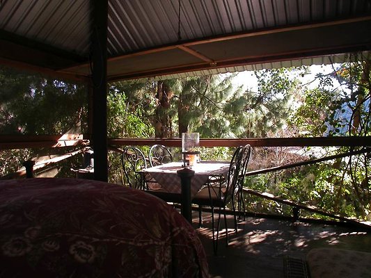 2824 treehouse4