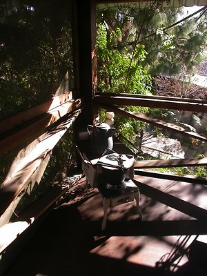 2824 treehouse7