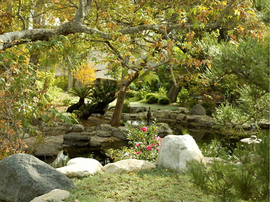 Storrier.Sterns Japanese Gardens.Pasadena
