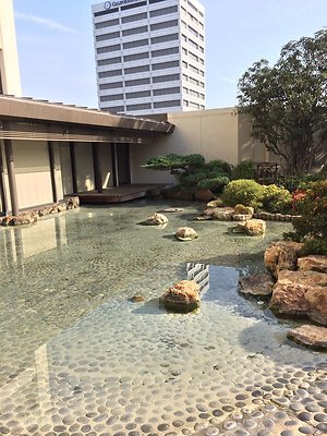 Kyoto.Gardens.DBl.Tree.03