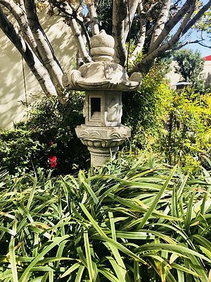 Kyoto.Gardens.DBl.Tree.10