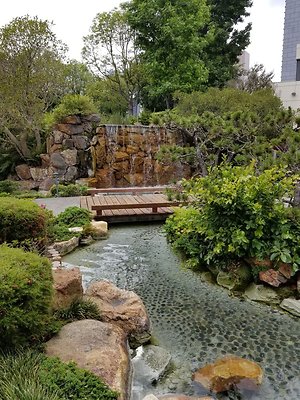 Kyoto.Gardens.DBl.Tree.14