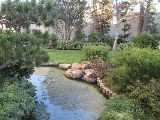 Kyoto.Gardens.DBl.Tree.34