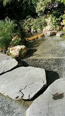Kyoto.Gardens.DBl.Tree.17