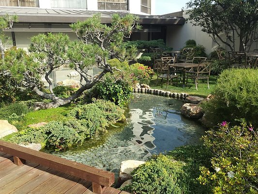 Kyoto.Gardens.DBl.Tree.04
