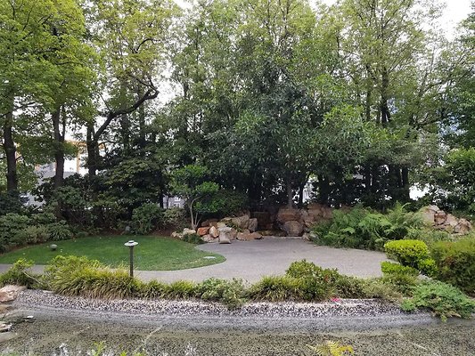 Kyoto.Gardens.DBl.Tree.31