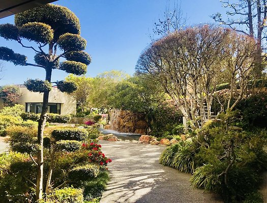 Kyoto.Gardens.DBl.Tree.11