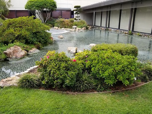 Kyoto.Gardens.DBl.Tree.15
