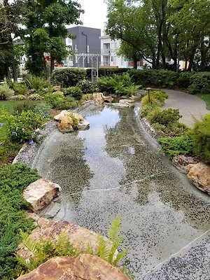 Kyoto.Gardens.DBl.Tree.27