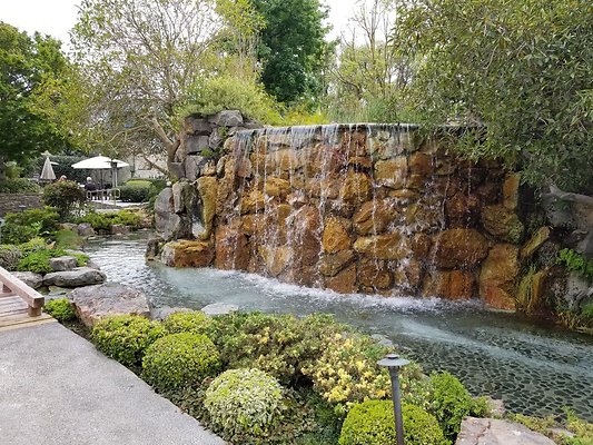 Kyoto.Gardens.DBl.Tree.25