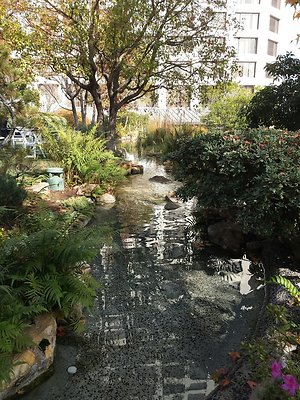 Kyoto.Gardens.DBl.Tree.05