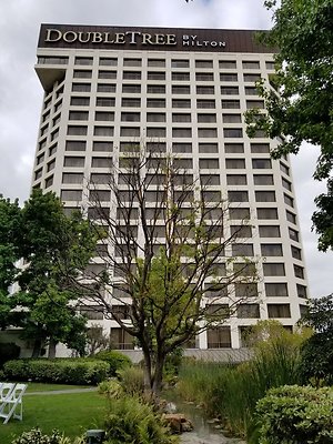 Kyoto.Gardens.DBl.Tree.37