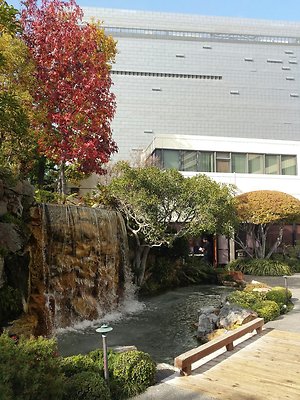 Kyoto.Gardens.DBl.Tree.20