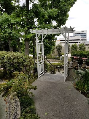 Kyoto.Gardens.DBl.Tree.29