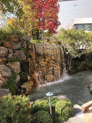 Kyoto.Gardens.DBl.Tree.21