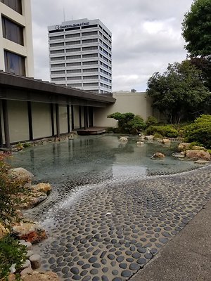Kyoto.Gardens.DBl.Tree.24