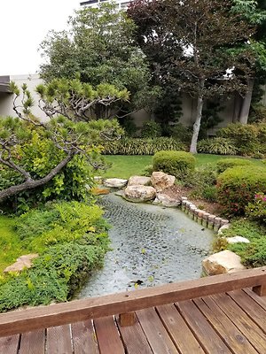 Kyoto.Gardens.DBl.Tree.32