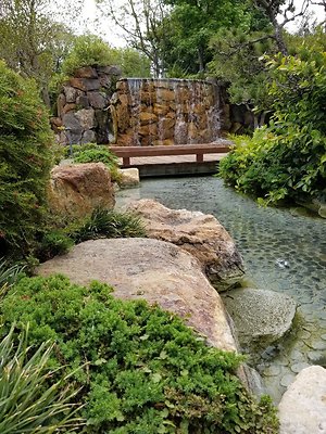 Kyoto.Gardens.DBl.Tree.16