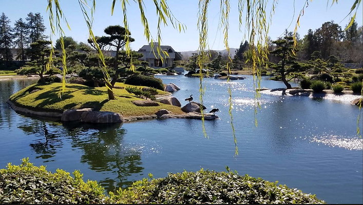 Tillman.Japanese.Gardens.12