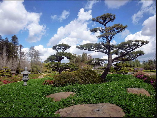 Tillman.Japanese.Gardens.17