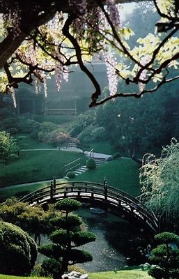 Japanese Garden.H040302-10A