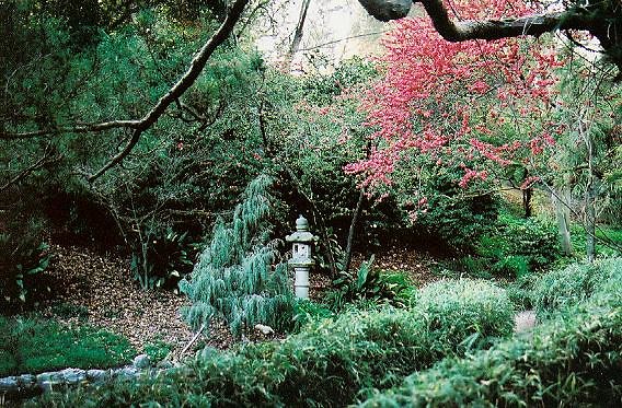 Japanese Garden.H040301-3A