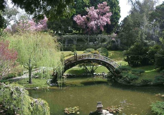 The Huntington.Japanese Garden
