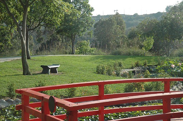 DSC 0156