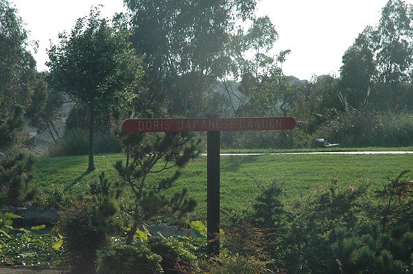DSC 0154