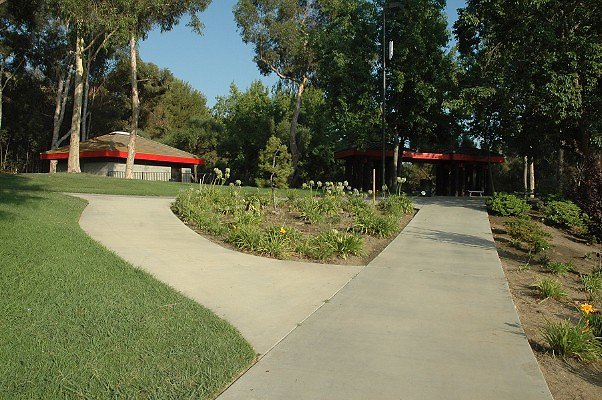 DSC 0153