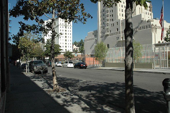 DSC 0005
