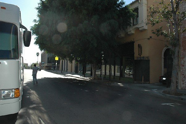 DSC 0001