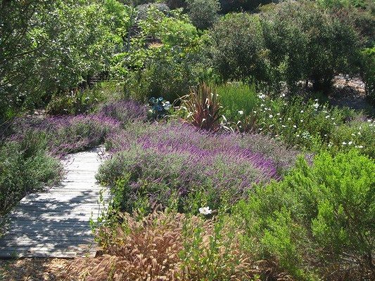 malibu property 4259 0195