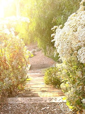 malibu property 4259 0074