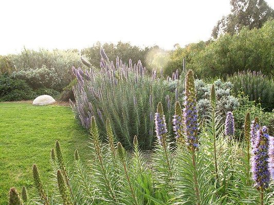 malibu property 4259 0198