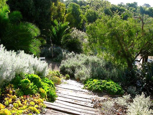 malibu property 4259 0068